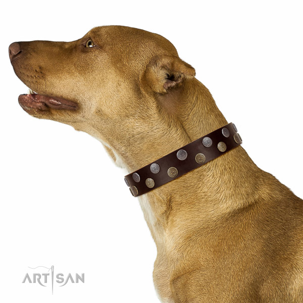 Soft full grain natural leather dog collar with embellishments for your stylish doggie