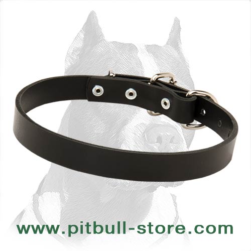 Dog Collar of thick Leather