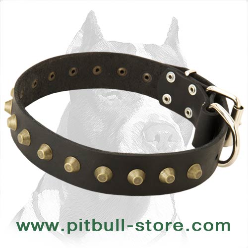 Stylish Leather Collar with Studs