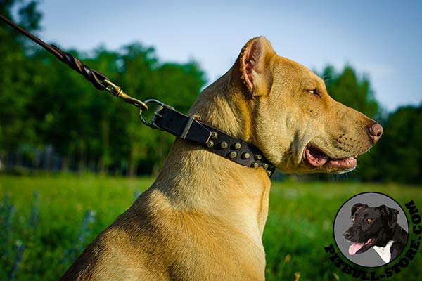 High quality leather Pitbull collar