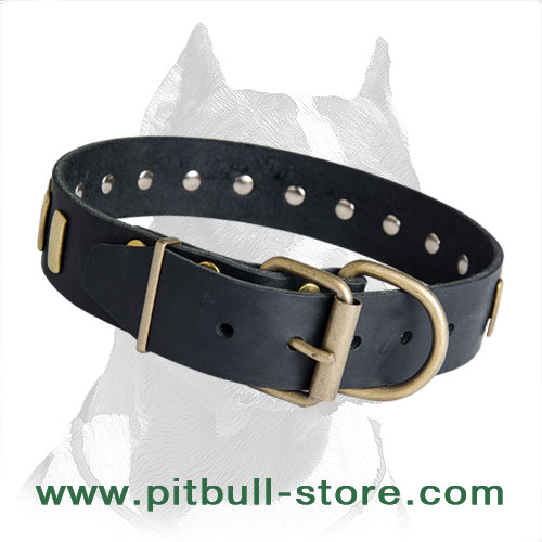 Leather collar for Pitbull firm hardware