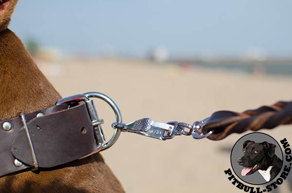 Leather Pitbull dog collar with shining D-ring