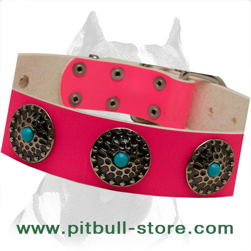 Get Leather Dog Collar, Blue Decorative Stones