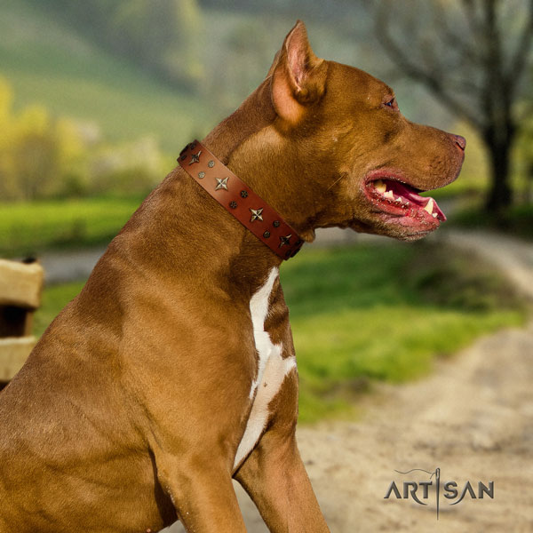 Pitbull perfect fit full grain natural leather collar with decorations for your canine
