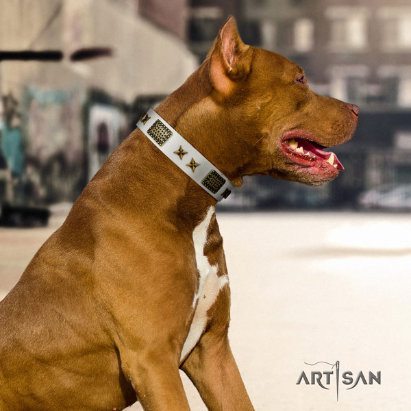 Pitbull adjustable natural genuine leather collar with decorations for your canine
