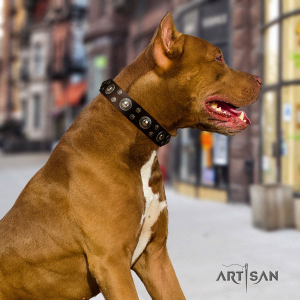 Pitbull handmade full grain leather collar with decorations for your four-legged friend