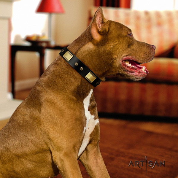 Pitbull easy adjustable genuine leather dog collar with trendy decorations