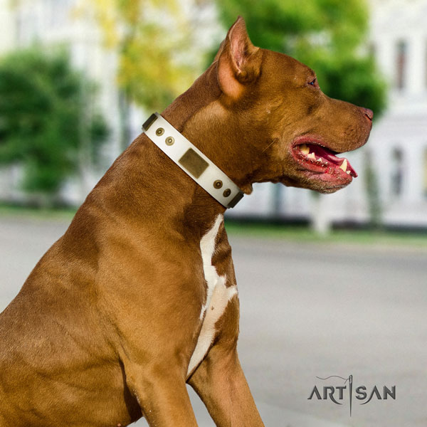 Pitbull handcrafted genuine leather dog collar with exquisite decorations