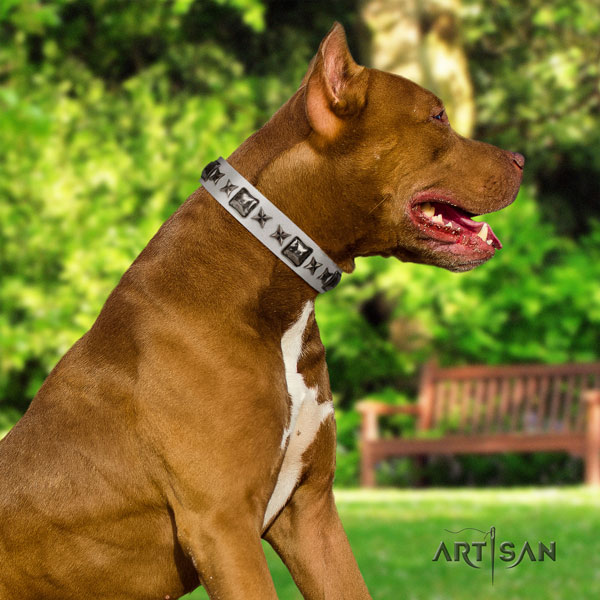 Pitbull awesome full grain leather collar with decorations for your doggie