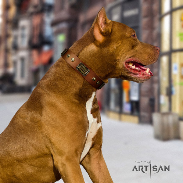 Pitbull easy to adjust natural genuine leather dog collar with unusual decorations