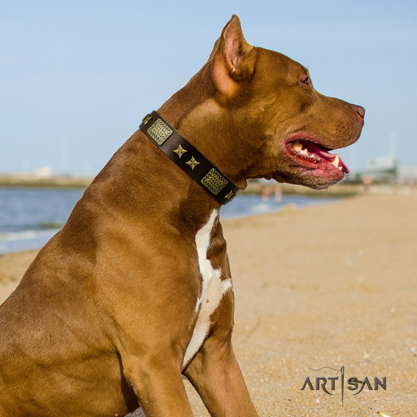 Pitbull easy adjustable genuine leather collar with decorations for your pet