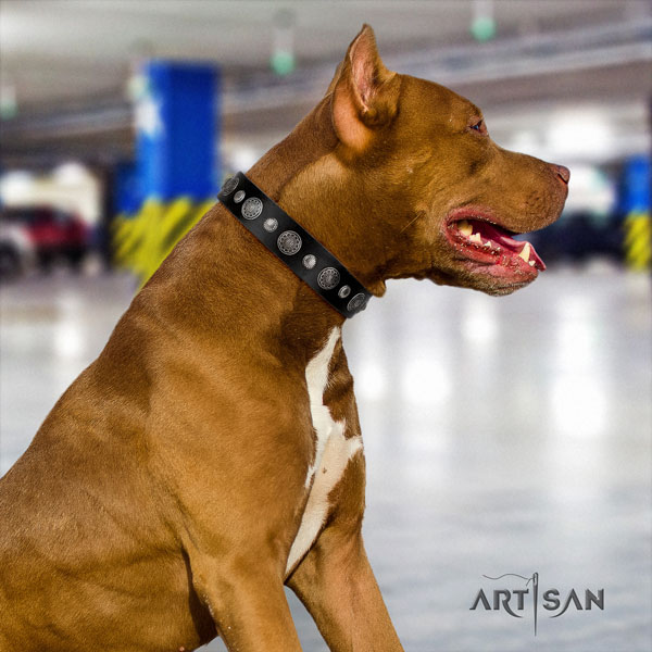 Pitbull top quality natural genuine leather dog collar with impressive decorations