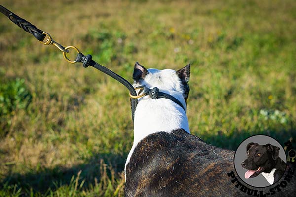 Pitbull round leather dog collar with brass rings