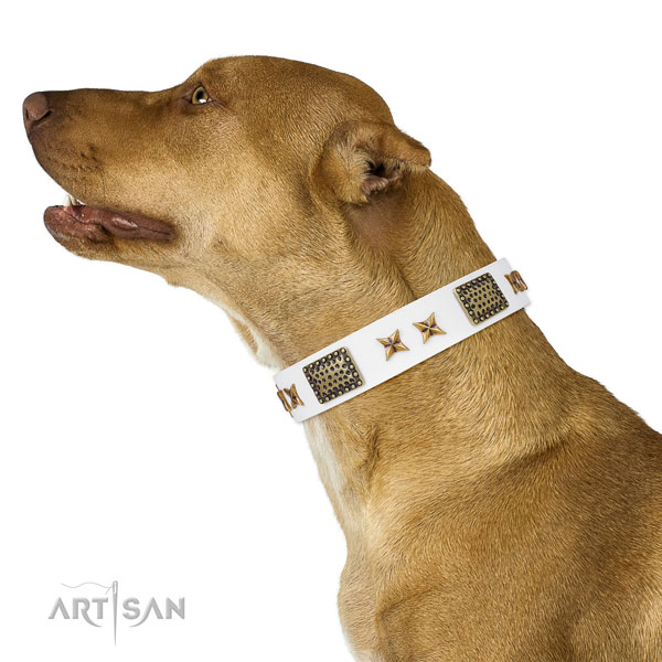Pitbull fashionable natural genuine leather dog collar for comfortable wearing