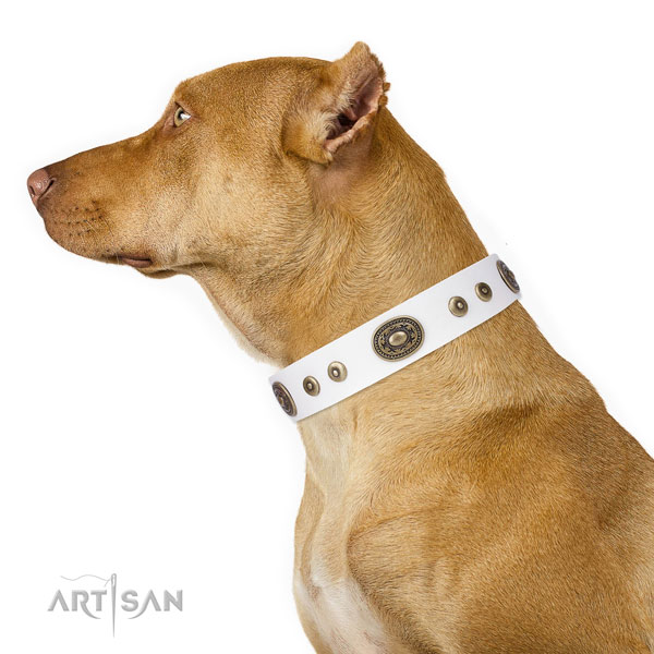 Pitbull perfect fit natural genuine leather dog collar for comfortable wearing