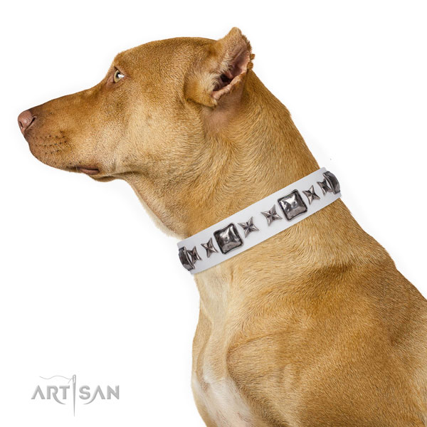 Pitbull unique natural genuine leather dog collar for fancy walking