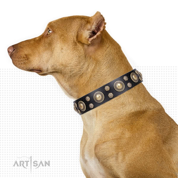 Pitbull awesome natural genuine leather dog collar for daily walking