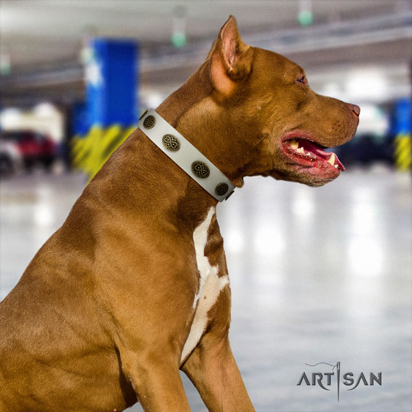Pitbull exquisite full grain leather collar with decorations for your four-legged friend