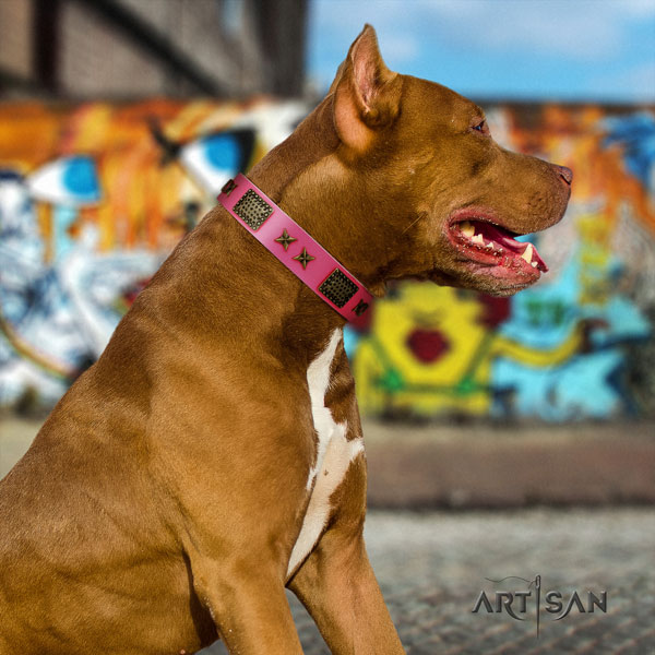 Pitbull inimitable full grain leather collar with decorations for your four-legged friend