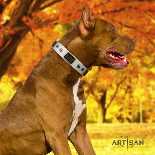 Pitbull easy to adjust full grain leather dog collar with designer decorations