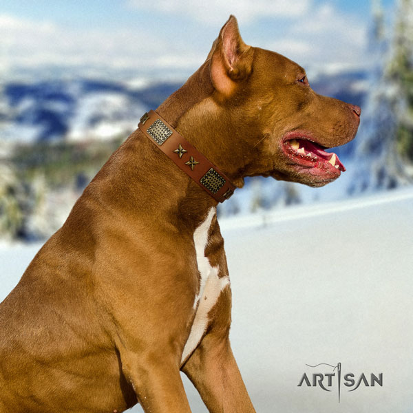Pitbull inimitable genuine leather collar with embellishments for your doggie