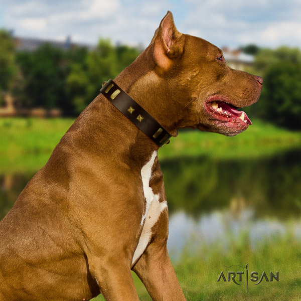 Pitbull exquisite decorated full grain natural leather dog collar for handy use