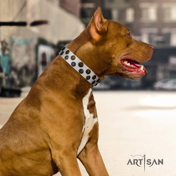Pitbull trendy genuine leather collar with decorations for your canine