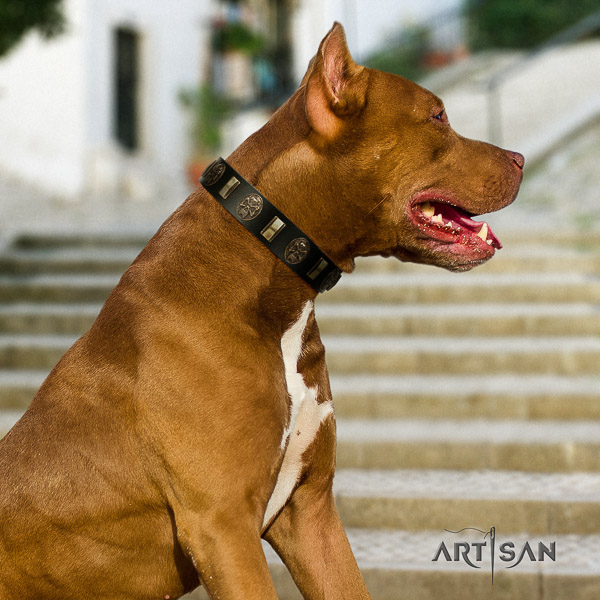 Pitbull unique decorated genuine leather dog collar for stylish walking