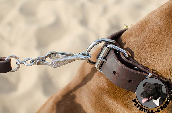 Secure buckle and D-ring on wide leather Pitbull walking collar