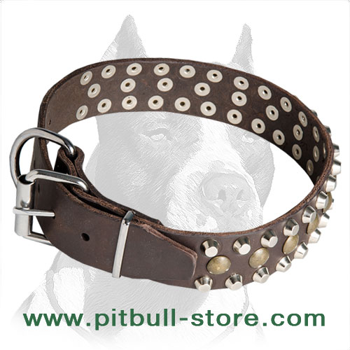 Pitbull dog collar
