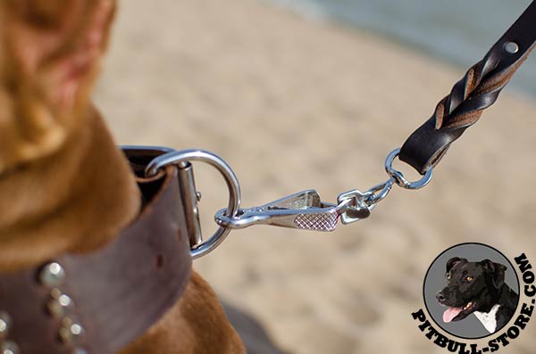 Wide Leather Dog Collar for Pitbull with Nickel Plated D-ring