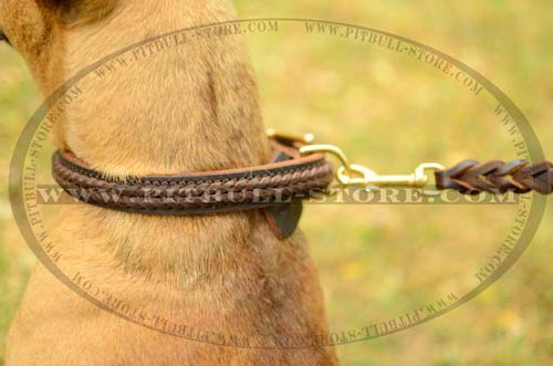 Handmade Collar with beautiful braid for decoration