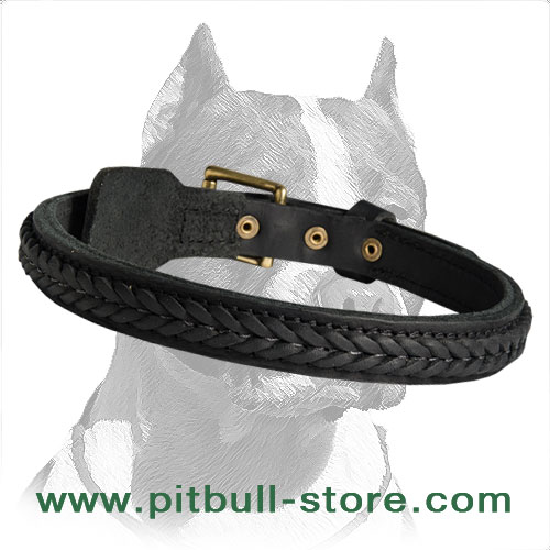 Leather Dog 【Collar】 with handcrafted braid for elegant look : Pitbull  Breed: Dog Harnesses, Collars, Leashes, Muzzles, Breed Information and  Pictures