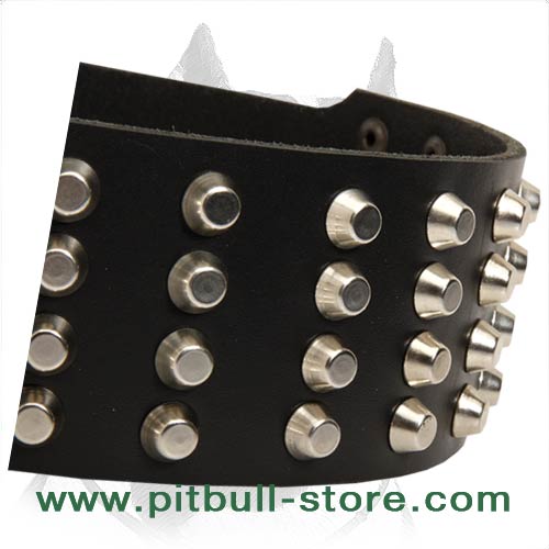Genuine Leather Dog Collar with Studs