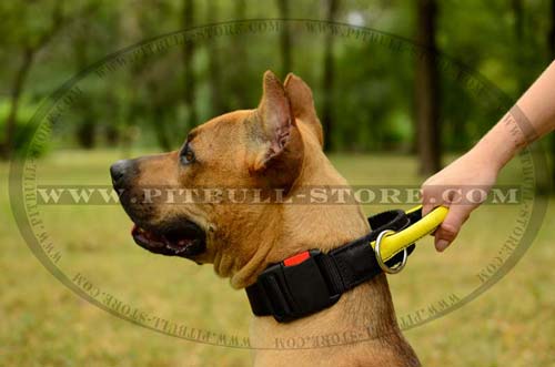 Easy fit Nylon Dog Collar