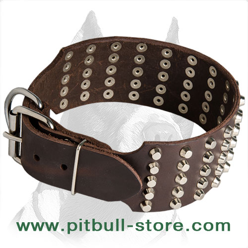 Pitbull collar outrages design and perfect quality