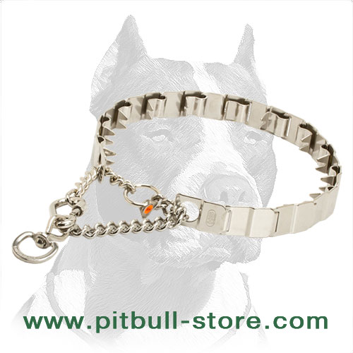 Dog neck-tech collar made of stainless steel