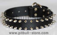 Spiked leather dog collar for pitbull - 2 Rows of spikes