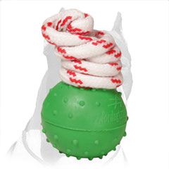 'Joy & Train' Pitbull Dog Solid Rubber Ball