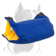 Safe and Strong Pitbull Dog Bite Builder