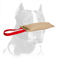 Pitbull Elementary Training Jute Bite Tug