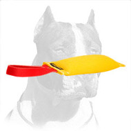 Efficient Training Pitbull Dog Bite Tug