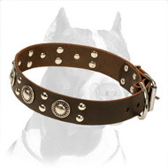 'Silver Knights' Pitbull Dog Collar
