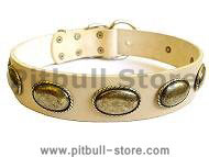 Retro Rulz - Gorgeous Vintage Dog Leather Collar - C103