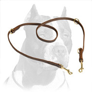 Leather and Extra Strong Pitbull Dog Leash