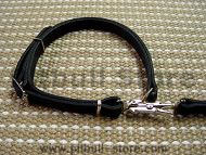 dog leash