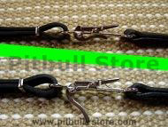 dog leash