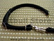 dog leash