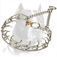 'Obedient Pet' Pitbull Pinch Prong Dog Collar