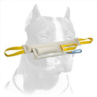 Pitbull Dog Set of 3 Tugs for Bite Training